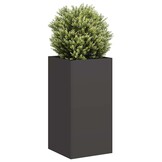 vidaXL Plantenbak 40x40x80cm Zwart | 33% Korting