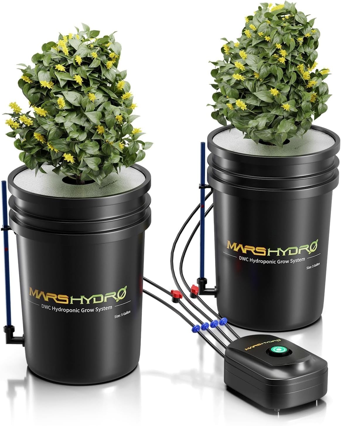 Mars Hydro DWC Hydroponisch Systeem, 5 Gallons, Zwart