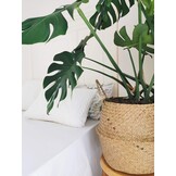 Zeegras Opbergmand met Handvat - 36x31cm - 23% Korting