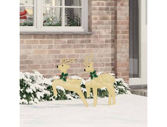 VidaXL LED Rendieren (2 stuks) Warmwit - 55% Korting!