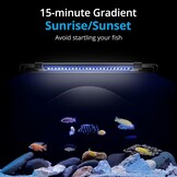 Nicrew ClassicLED G2 Aquariumverlichting - 27% Korting!