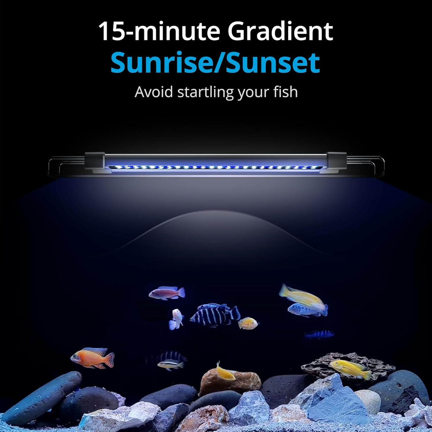 Nicrew ClassicLED G2 Aquariumverlichting - 27% Korting!