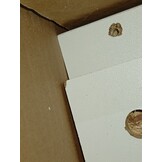 vidaXL Lyon Hangkast 60x31x60 cm Wit - 52% Korting!