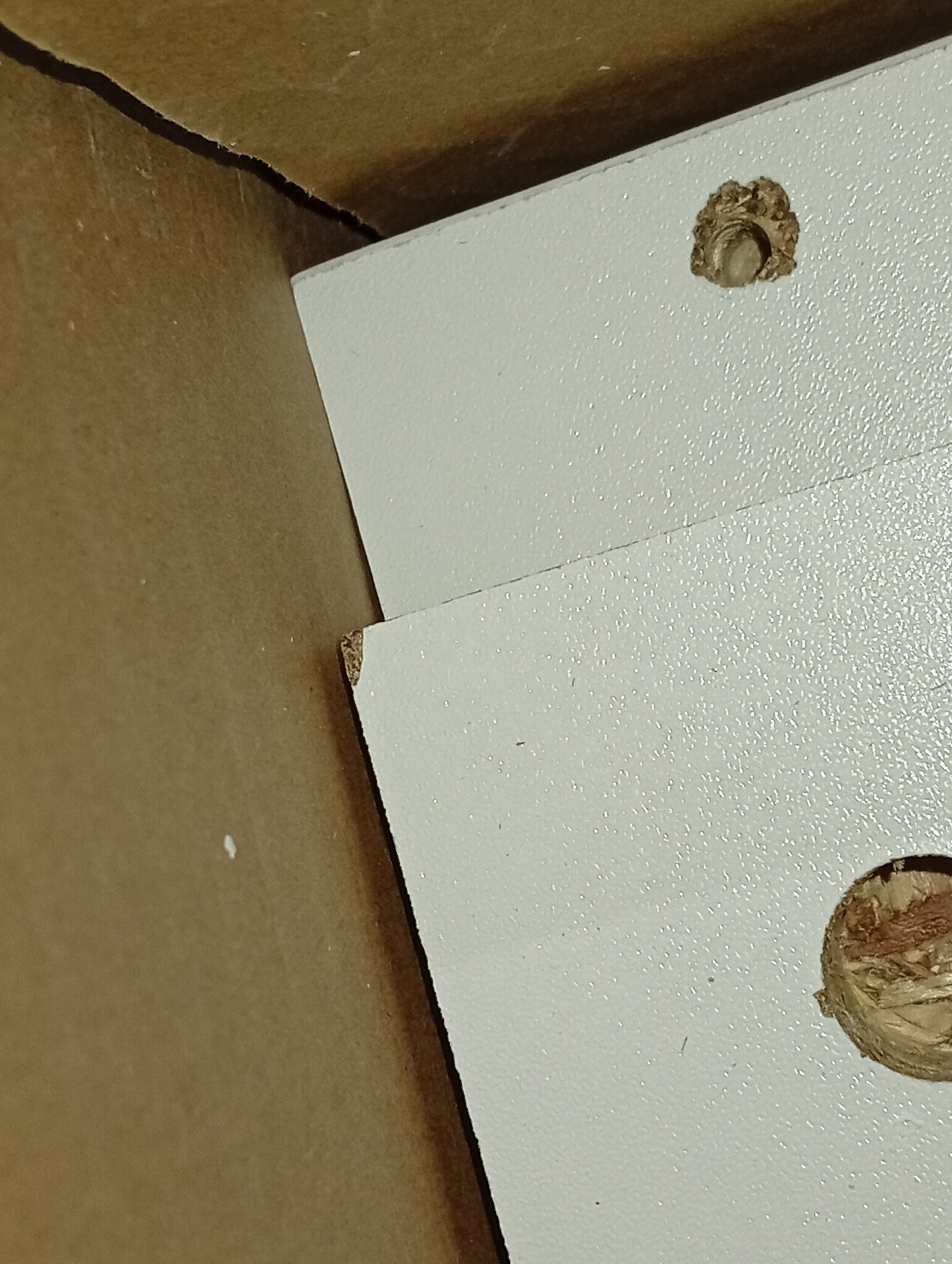 vidaXL Hangkast Lyon 60x31x60 cm bewerkt hout wit