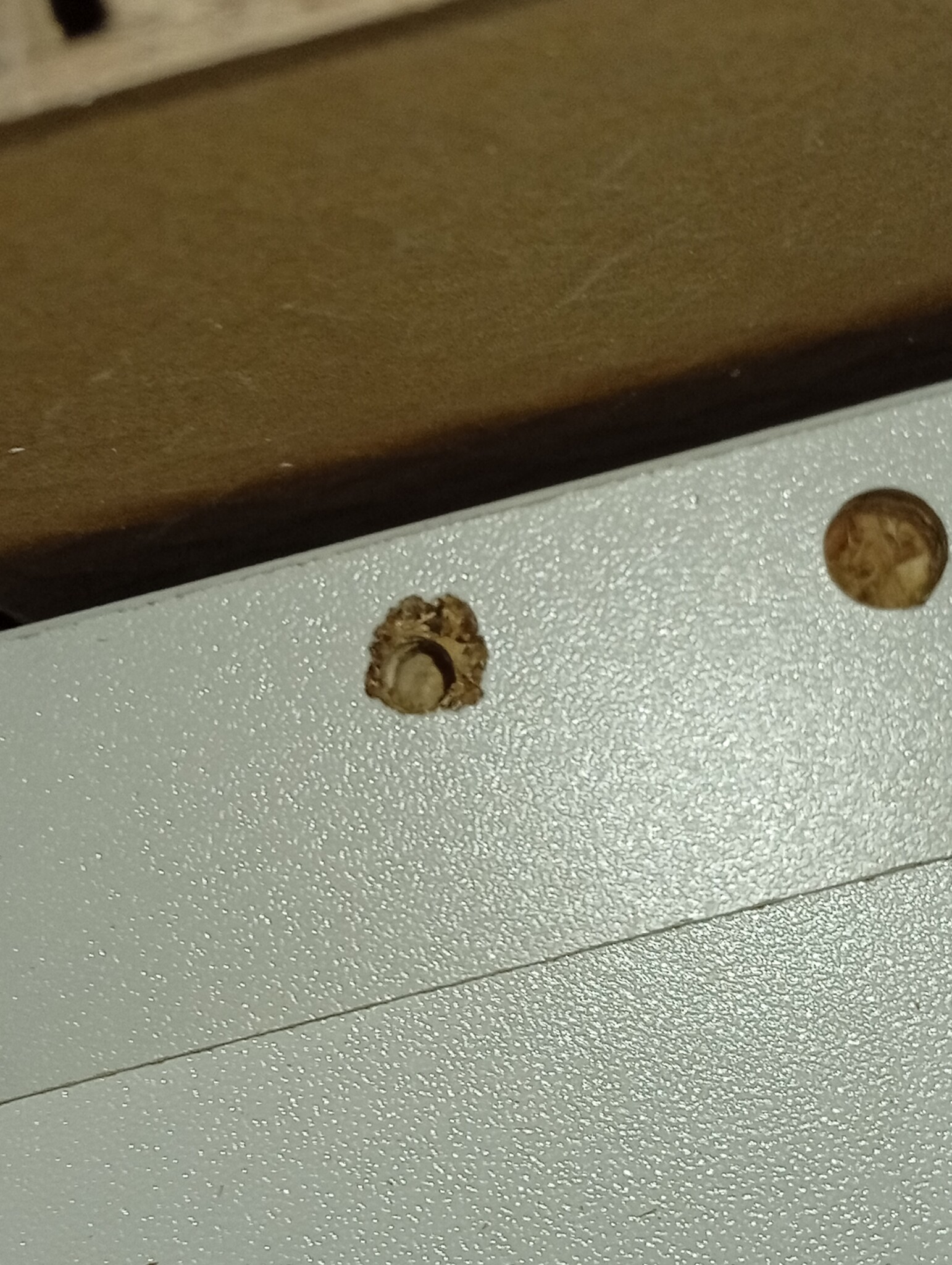 vidaXL Hangkast Lyon 60x31x60 cm bewerkt hout wit