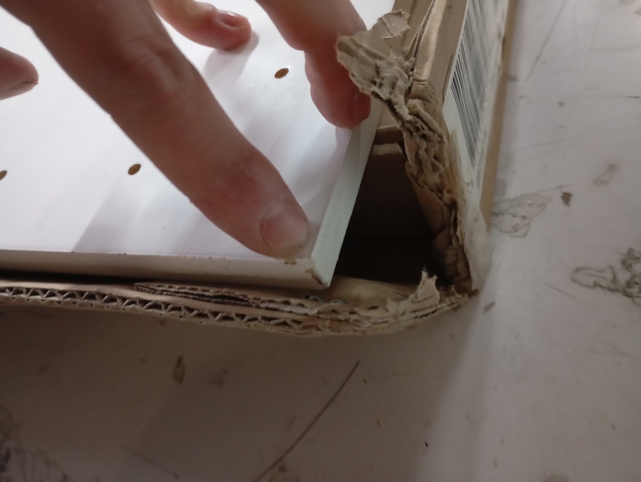 vidaXL Wandtafel Grenenhout Wit - 58% Korting