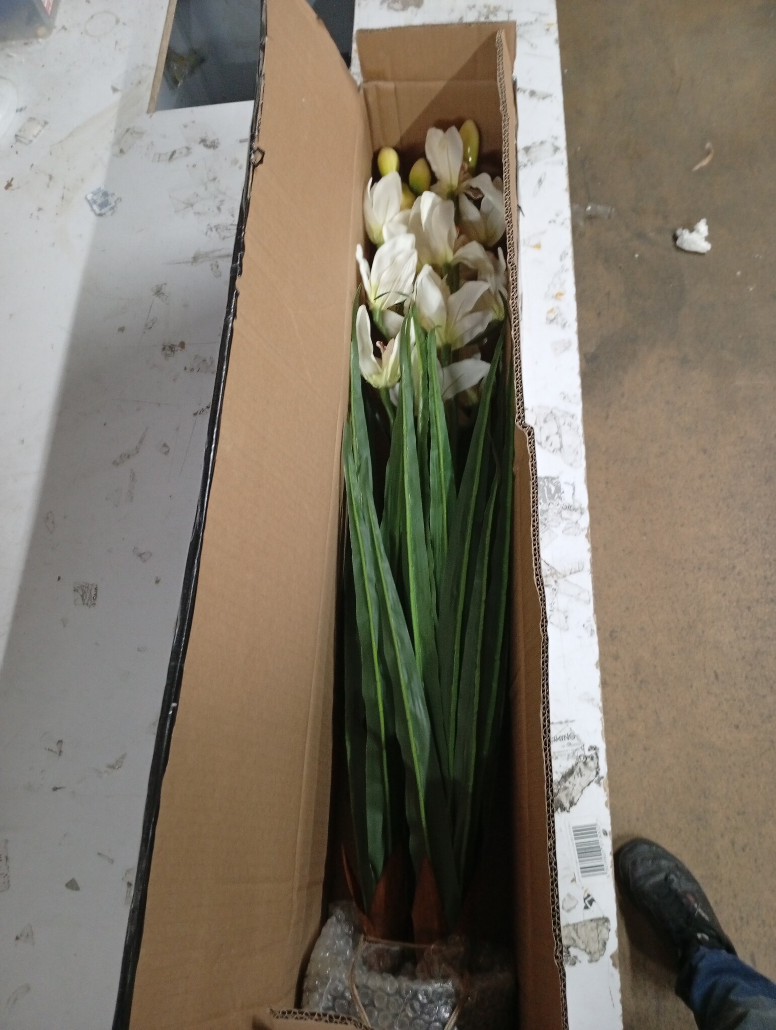 VidaXL Kunstorchidee Cymbidium 100cm Groen - 68% Korting