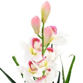 VidaXL Kunstorchidee Cymbidium 100cm Groen - 68% Korting
