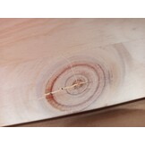 4x vidaXL Grenenhouten Tafelbladen 90x45 cm - 53% Korting!