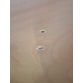 Aquariumstandaard 121x41x58cm Sonoma Eiken - 66% Korting!