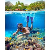 Zenoplige Snorkelset met Zwemvinnen - 32% Korting