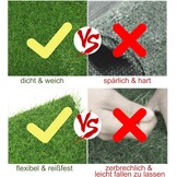 Nisorpa Kunstgras 2x3m - 30mm Hoogte - 28% Korting!