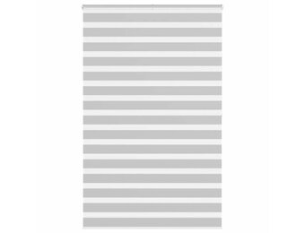 vidaXL Zebra Rolgordijn Lichtgrijs (73% korting)