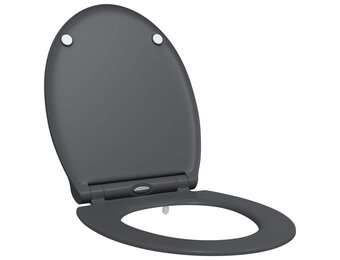 vidaXL Snelle Ontgrendel Toiletzitting Antraciet 45.5 x 37.5 x 3.8 cm