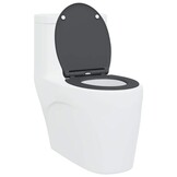 vidaXL Snelle Ontgrendel Toiletzitting Antraciet 45.5 x 37.5 x 3.8 cm