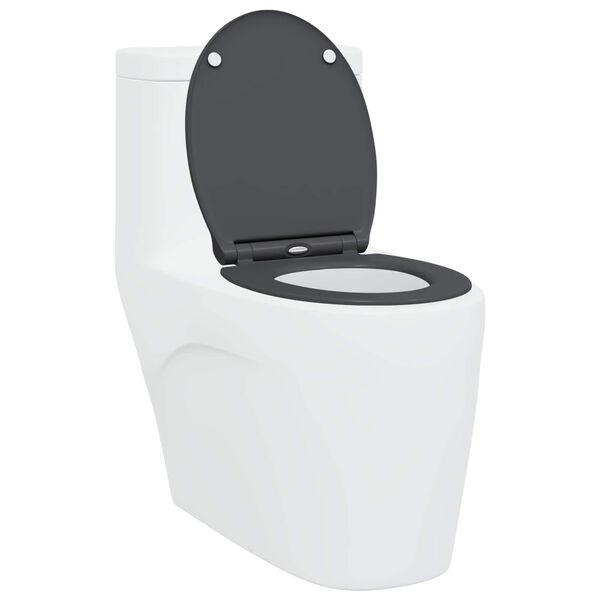 vidaXL Snelle Ontgrendel Toiletzitting Antraciet 45.5 x 37.5 x 3.8 cm