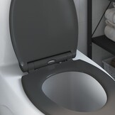 vidaXL Snelle Ontgrendel Toiletzitting Antraciet 45.5 x 37.5 x 3.8 cm