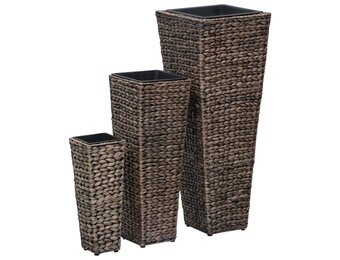 VidaXL Verhoogde Plantenbakken (3 st) - Waterhyacint - 59% Korting