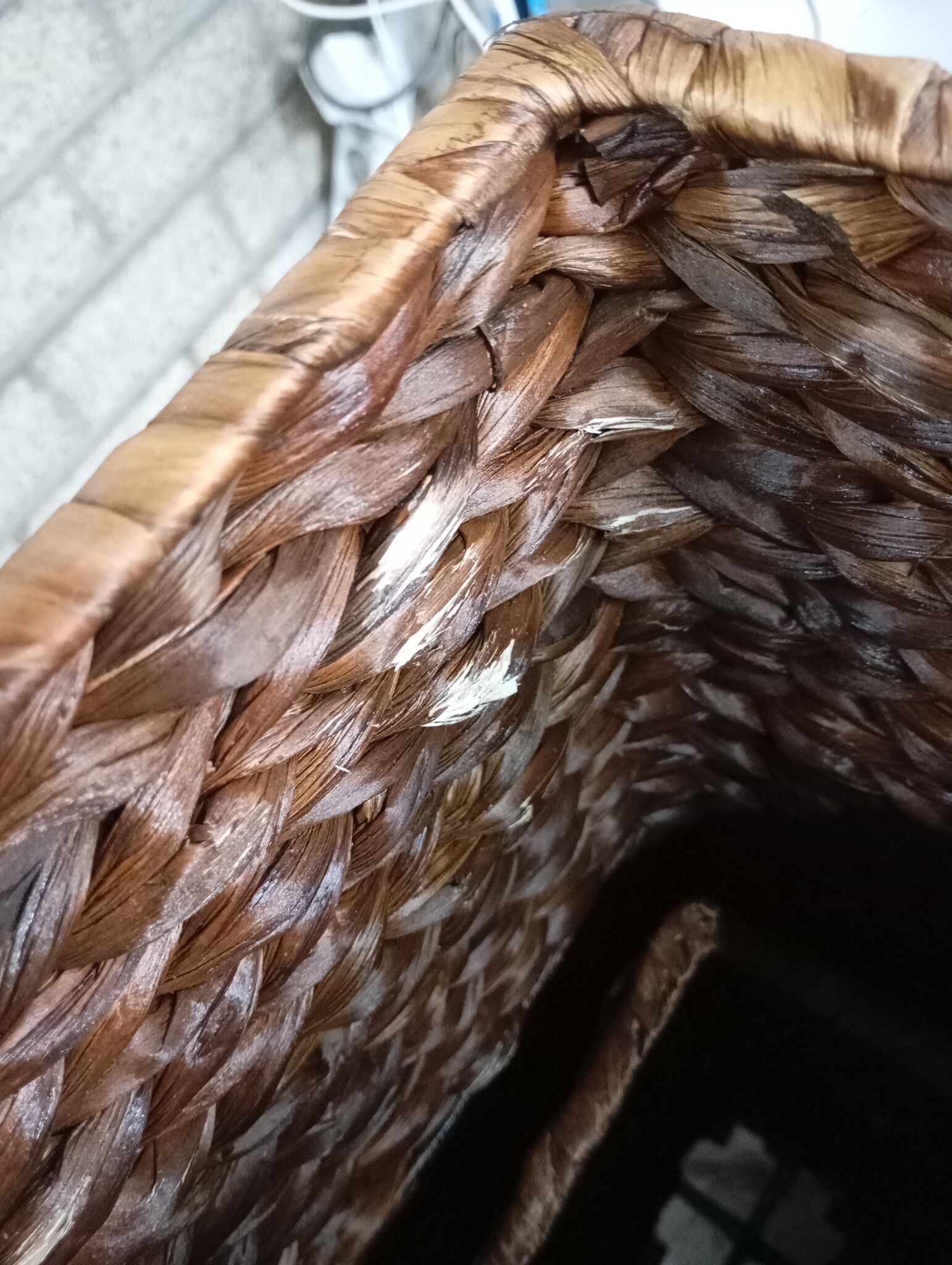 VidaXL Verhoogde Plantenbakken (3 st) - Waterhyacint - 59% Korting