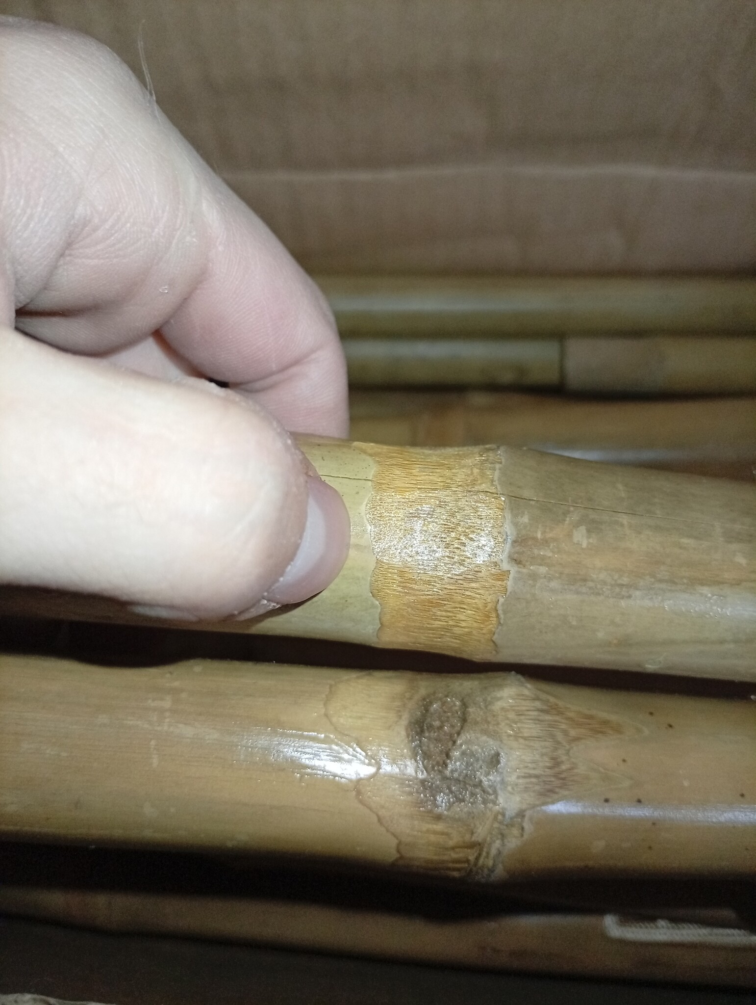 VidaXL Kamerscherm - 6 Panelen Bamboe & Canvas (54% Korting)