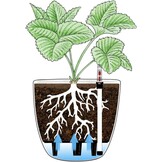 Zelfbewaterende Bloempotten Set van 4 (15cm) - 52% Korting!