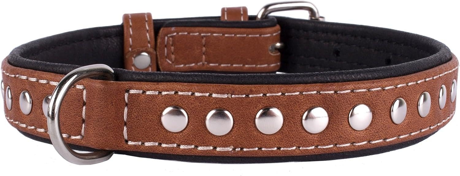 CollarDirect Leren Halsband Studs Zwart/Bruin S/M (39% Korting)