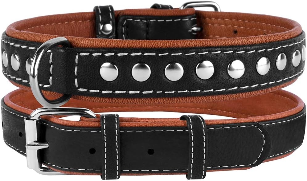 CollarDirect Leren Halsband Studs Zwart/Bruin S/M (39% Korting)