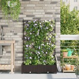 vidaXL Tuindruppel met Trellis - Bruin 32% Korting