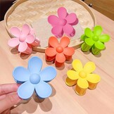 6 Elegante Haarclips: Grote Bloemen - Kleurrijk - 14% Korting!