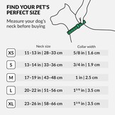 CollarDirect Leren Hondenhalsband Studs (40% Korting)