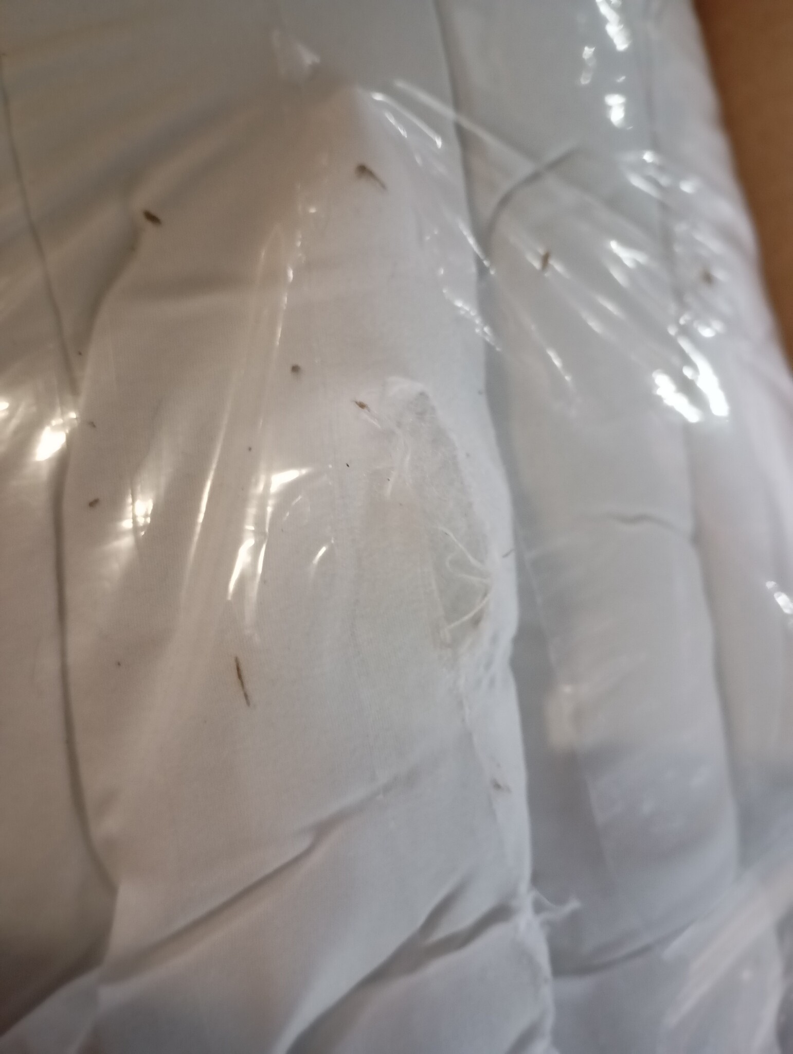 vidaXL Matrasbeschermer 200x220 cm Wit - 61% Korting!