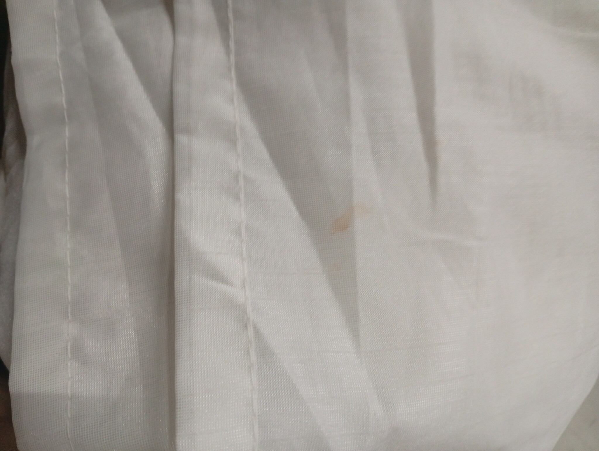 vidaXL Gordijnen met gordijnen 2 pcs Zuiverwit Polyester