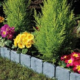 Grijze Tuinrand met Steenlook (20st) - 26% Korting!