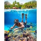 Zenoplige Snorkelset volwassenen met flippers, snorkelmasker met verstelbare zwemvinnen, snorkelpakketten snorkelmasker en flippers set met draagtas voor beginners en snorkelaars