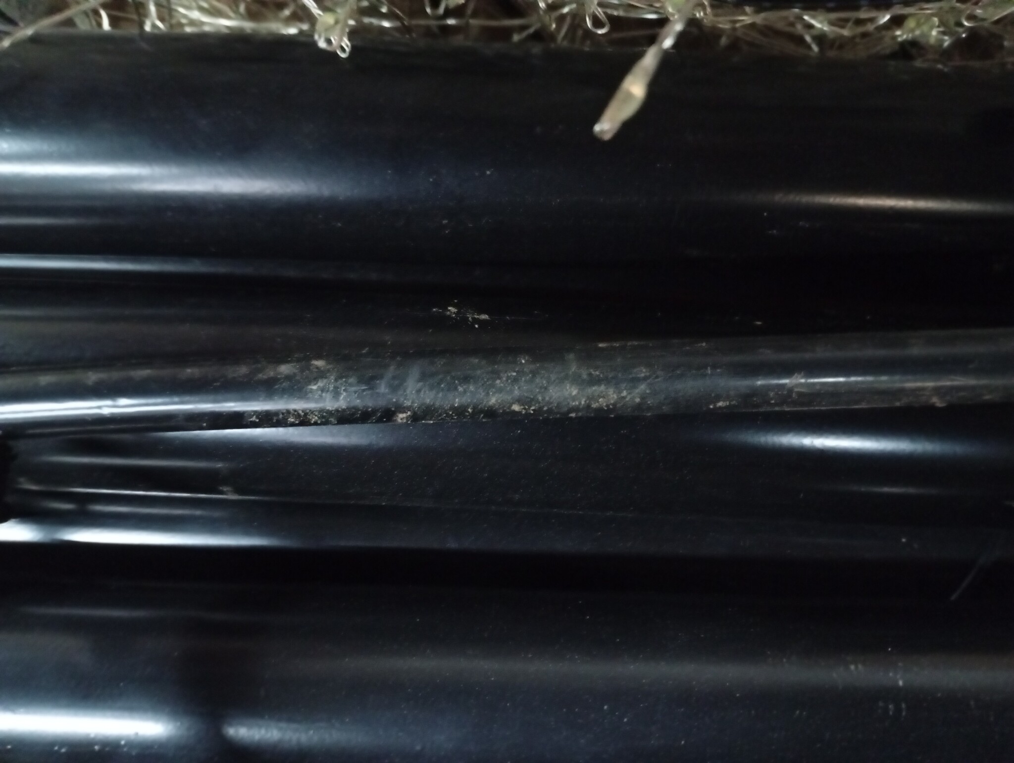 vidaXL Kerstboom 8m Koud Wit 1300 LEDs - 62% Korting!