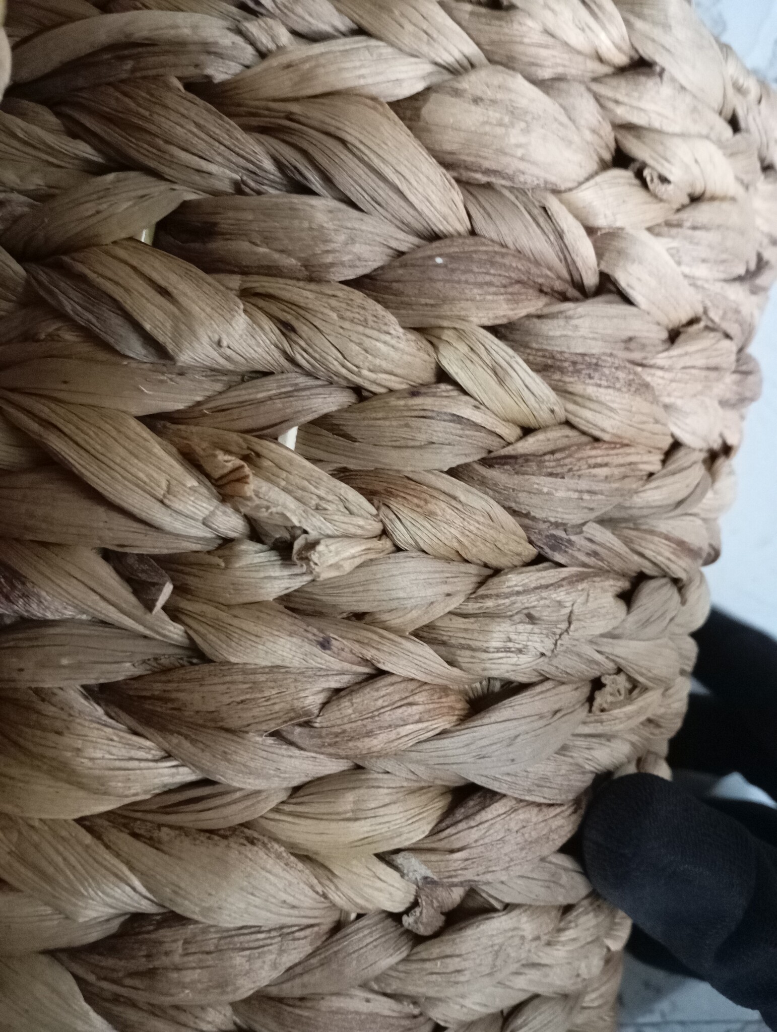 vidaXL Kattenbed met Kussen - 52% Korting!