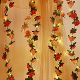 Rozenlichtjes Slinger - 20ft - 41% Korting