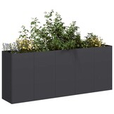 Plantenbak vidaXL Zwart Koudgewalst Staal 200x40x80 cm - 34% Korting!