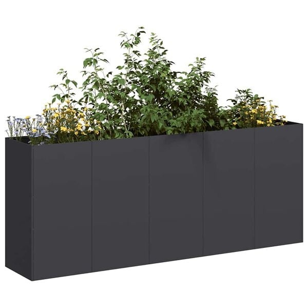 Plantenbak vidaXL Zwart Koudgewalst Staal 200x40x80 cm - 34% Korting!