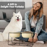 Verhoogde keramische hondenbak met metalen standaard - Dubbele kommen voor voer en water - Voerbak voor middelgrote honden - Geel