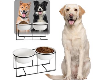 Verhoogde voederbakken voor grote honden, set van keramiek met antislip metalen houder, dubbele hondenbak voor voer en water, geschikt voor middelgrote en grote honden, 2 x 1600 ml, wit
