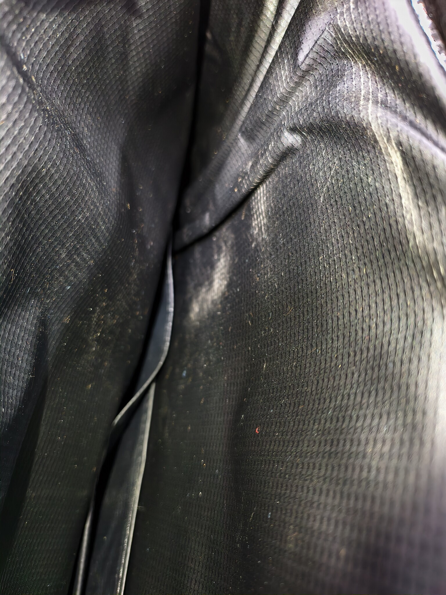 Trampoline Randbescherming 366 cm (Zwart) - 57% Korting!