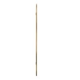 VidaXL Wandspiegel 100x45 cm Goud - 33% Korting!