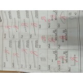 vidaXL Hondenhek Inklapbaar (58% Korting) - 300 cm Vurenhout Zwart