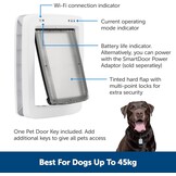 PetSafe SlimmeDeur Verbonden Huisdier Deur, App-Gestuurd, Selectieve Toegang, Energiezuinig, Groot