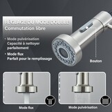 Keukenkraan voor spoelbak met regenboog, inschuifbaar, 2 sproeimodi, messing, geborsteld nikkel