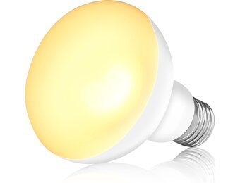 Reptielenlamp 75W UV Warmte - 13% Korting!