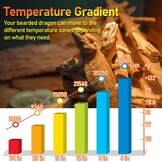 Reptielenlamp 75W UV Warmte - 13% Korting!