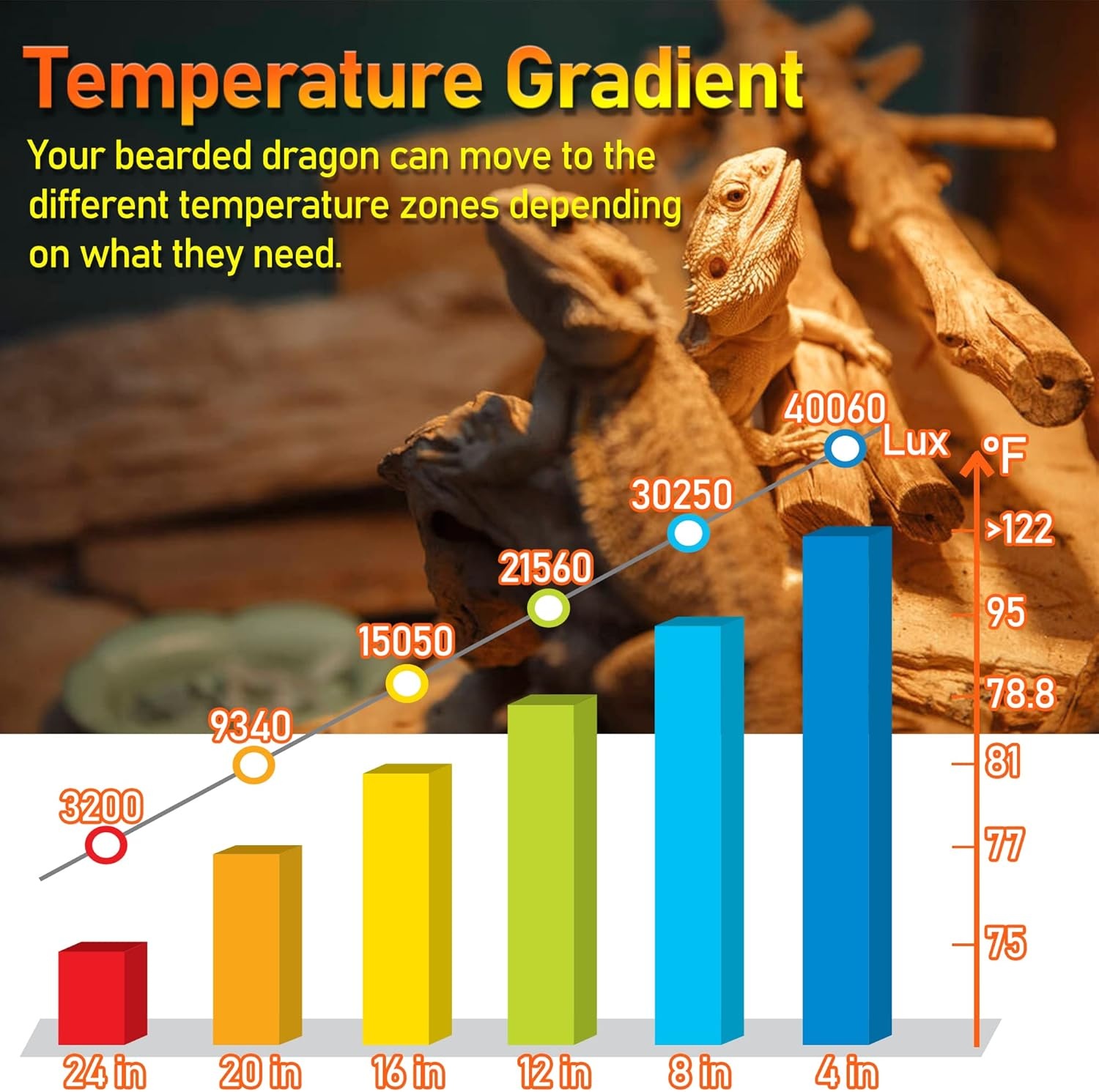 Reptielenlamp 75W UV Warmte - 13% Korting!