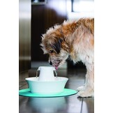 PetSafe Avalon Keramische Drinkfontein (2L) - Wit - 28% Korting